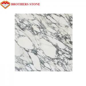 China Italy White Marble Stone Arabescato Corchia Marble Slab For Bathroom Basin Countertop on sale