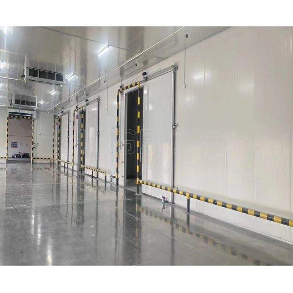 Commercial Cooling System Fish Fruit Vegetable Storage Freezer Room