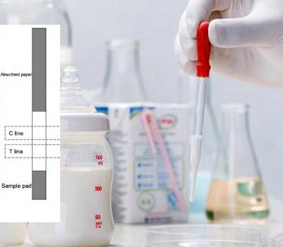 Quality 2-8 ℃ Raw Milk Quinolone Antibiotic Test Strips Of Detection Easy Use for sale