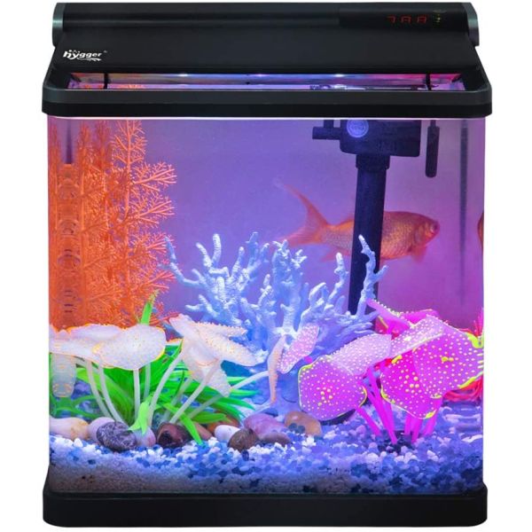 4 Gallon Turtle Fish Tank