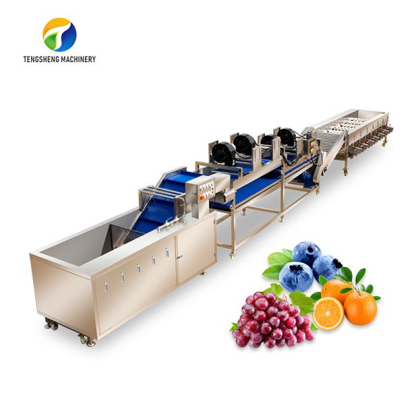 Circulating Hole Fruit Processing Line , Tengsheng Roller Conveying Vegetable