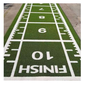 China 15mm Indoor Synthetic Gym Artificial Turf Customized Monofilament Curly wholesale