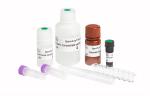 Solid Phase BAPNA Method Sperm Function Test Kit For Spermatozoa Acrosin