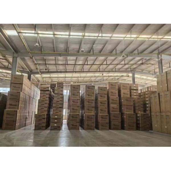 Auto Parts Brass Synchronizer Ring OEM 1297304484/1297 304 484 for Various Applications