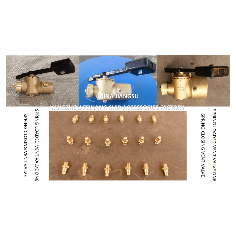 DN6 Brass Spring Loaded Vent Valve with Threaded Ends and CB/T3778-1999 Standard