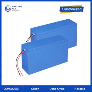 China Lifepo4 Lithium Ion Battery Pack OEM 18650 overcharge protection wholesale