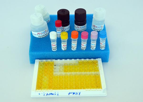 Quality High Recovery Rate Estrogen ELISA Kit / Diazepam ELISA Testing Kit for sale