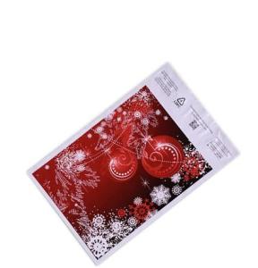 China Cheap Poly Plastic Packaging Custom Logo Printing Self-Seal Reusable Polythene Mailing Bags Cloth Mailing Bag on sale