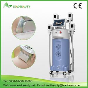 Hot in Europe cryolipolysis body slimming machine for lose weight