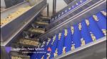 304 Stainless Steel Automatic Cashew Sorting Machine with AI Detection and