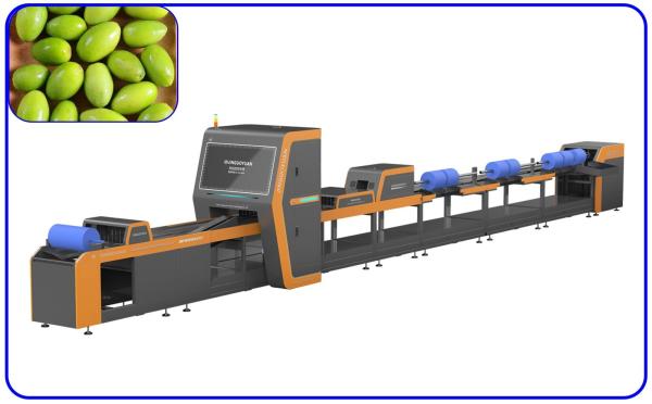 Quality Fast Small Grading Machine 380V 1 Channel Chinese Olive Sorting Machine for sale