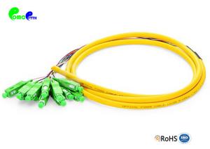 China 12F SC APC Pre - terminated Pigtail SM 12F Fiber Optic Pigtail OS2 G657A1 LSZH Jacket Breakout 0.9mm tail wholesale