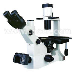China 400X 360°Rotatable Inverted Optical Microscope A14.0701 Binocular Head wholesale