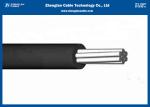 W10KV Single Core Use As Overhead Power Lines With The Code 16/25/40/63/100/125