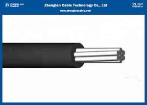 W10KV Single Core Use As Overhead Power Lines With The Code 16/25/40/63/100/125/160/200