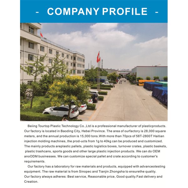 Outdoor Dog Agility Set For Innovative Football Training On PP Sports Field