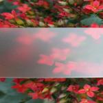 Frosted Polycarbonate Sheet Light Diffusion Enhanced Privacy Impact Resistance