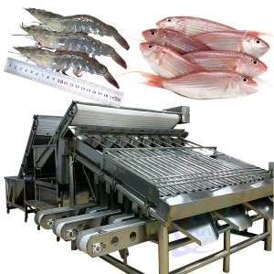China Automatic shrimp sorting machine for shrimp peeling fresh prawn washing rolling sorting machine shrimp grader on sale
