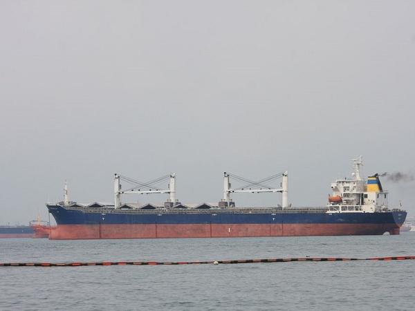 Quality Multiple Check Bulk Carrier Loading Procedure Vefore Shipment For Safe Transportation for sale
