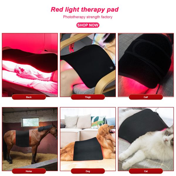 Dog Cat Horse Use Photon Therapy Machine Red Light Therapy 880nm 660nm