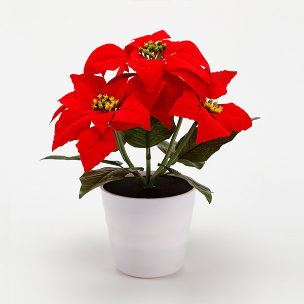 Solar LED Landscape Flower Light with Different Design for Yard Decoration