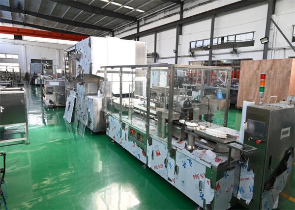 Quality Rapid Changeover Ampoule Packaging Line Handles 1ml To 10ml Ampoules In 5 Mins With Servo Driven Motor And Peristaltic Pump for sale