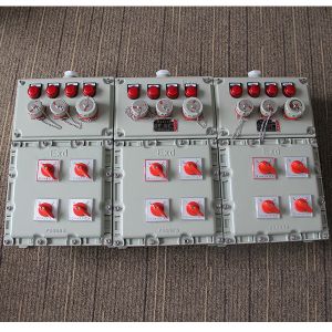 IIBT4 Distribution Flameproof Control Panels Flame Explosion Proof Control Panel