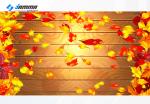Interactive Floor Projection Multiplayer 3D Projector System Dynamic Ground Size