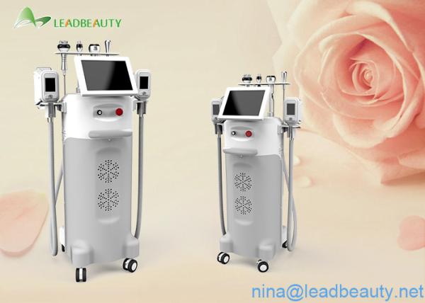 Quality cryo 5 handles 2cryo handles can  work togethermachine  with cavitation and RF handles for sale