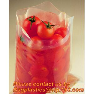 Sampling Systems - Sampling Bags, Sterilized Bags | Spectrum, Lab Equipment &