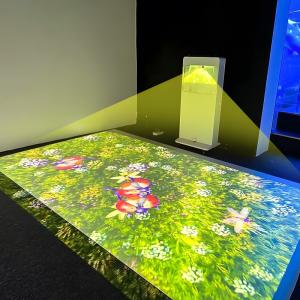 China Source Factory All-In-One Mobile Interactive Floor Projection Game wholesale