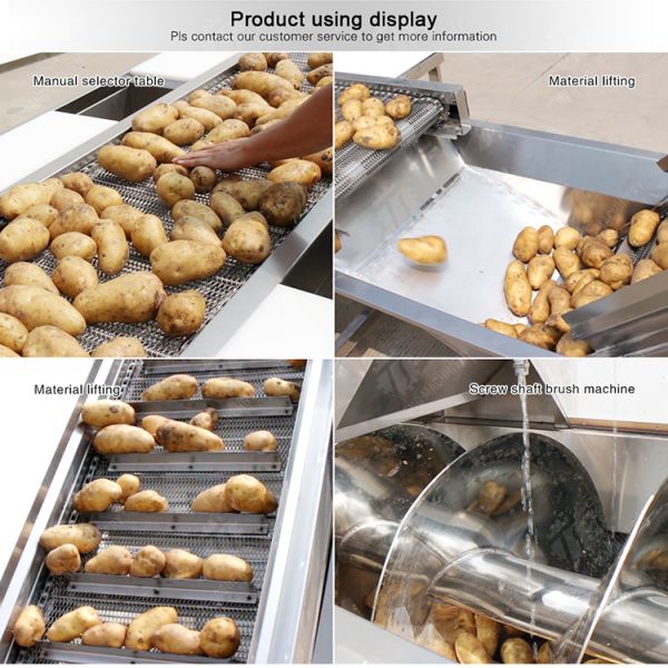 Selection roller brush bubble washing,drying,and cutting production line Fruit Vegetable FOOD processing production Machine