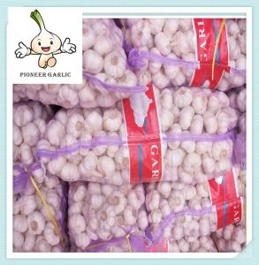 High Quality Wholesale Price Fresh Natural Organic Garlic 2015 fresh white garlic exporter
