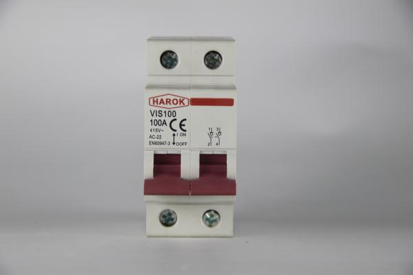 Quality Vis100 2p 80a Main Switch Isolating Circuit Breaker Household Function Disconnector Isolator 32a 63a 100a for sale