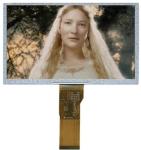 10.1inch IPS TFT LCD Display TNT LCD Display Module 1920(RGB)X1080
