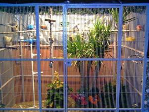 China zoo aviary mesh weld mesh and flexible rope mesh on sale
