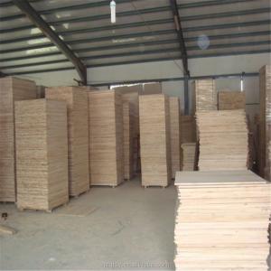China Solid Wood Boards Paulownia Timber in 1220*2240mm Size with and Density 300-310kg/m3 wholesale