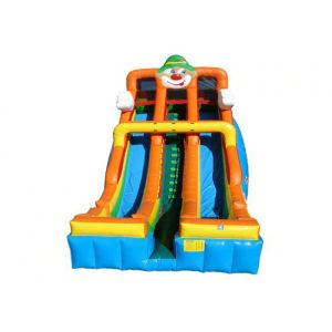 China Customized Size Large Inflatable Slide With Coloful Shape For Backyard wholesale