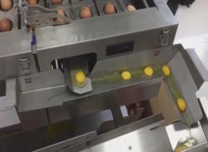 China automatic food processing machine breaks eggshell and separates yolk from egg white on sale