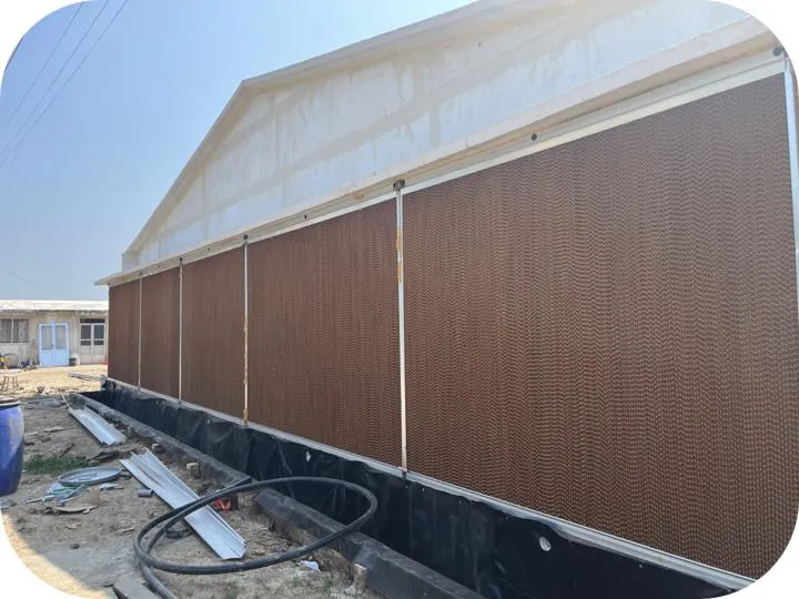 Rust Resistant Commercial Layer Cages Hot Dip Galvanized Poultry Battery Layer Cage