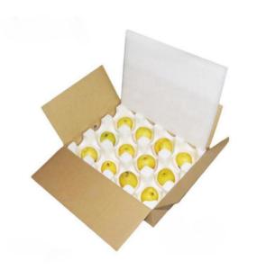 China Customized Profiled EPS Foam Shock Absorbing Fruit Tray Fragile Protective on sale