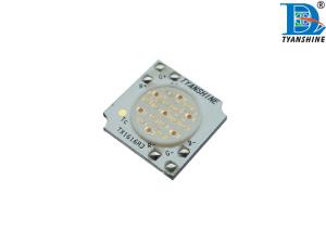 China Indoor Lighting RGB LED Array , 10 Watt COB LED Multichip Arrays wholesale