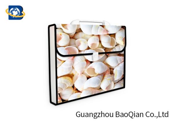 Quality Lenticular Plastic Envelope Folder , Expanding Document Folder 3D UV Printing for sale