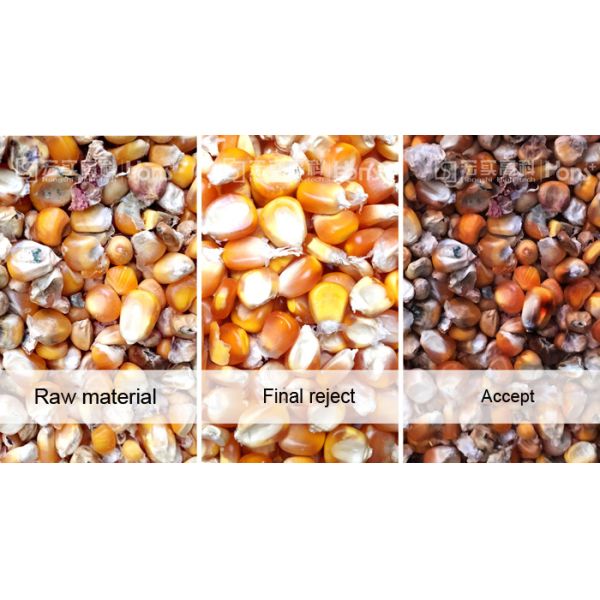 Hons+ High Capacity 3.0 KW White Corn Sorting machine 4.0~7.0 Tons New Design