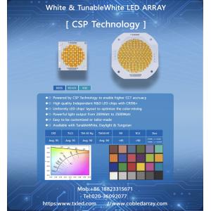280W CSP LED High Power TunableWhite TLCI95 COB LED Module