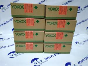 China Yokogawa AAI143-H00 Yokogawa Analog Input Module AAI143-H00 with good price on sale
