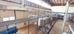 100T/D Mango Processing Line Sus304 One Stop Service
