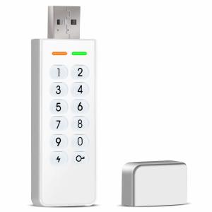China Datage High Level AES 256bit Password Encryption Flash USB Key Drive Encripted USB 2.0 Disk White wholesale
