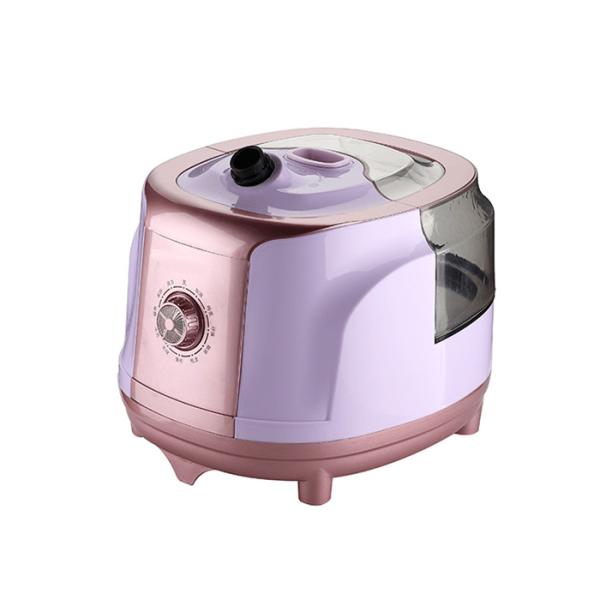 Quality Fabric Constant Home Clothes Steamer Flexible With 3 Sections Telescopic Pole for sale