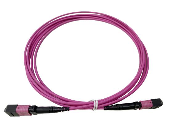 Quality 12cores OM4 Fiber Optic MTP MPO Cable Patch Cord for Optimal Network Performance Data Center for sale
